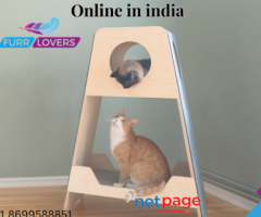 Buy Cat Tree House and Dog Beds Online in india
