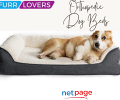 Washable Orthopedic Dog Beds