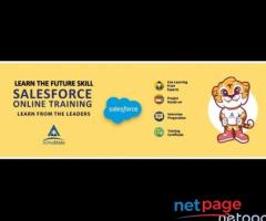 AlmaMate Info Tech | Best Salesforce Training