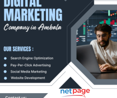 Digital Marketing Company in Ambala