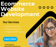 Expert e-commerce website Development Services in Faridabad | Digital Impression