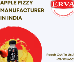 Apple Fizzy Manufacturer in India