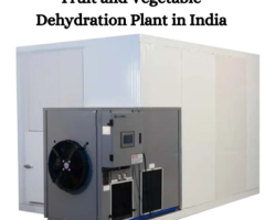 Fruit and Vegetable Dehydration Plant in India