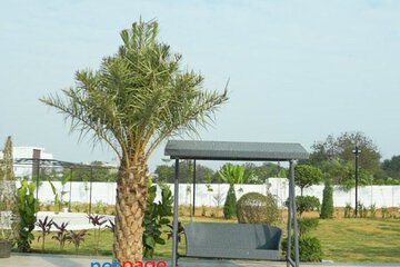 The MH Farmstay | Weekend Farmhouse Stay Near Hyderabad | Booking Open 