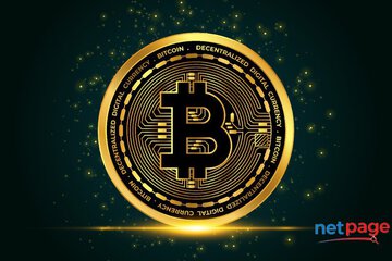 Cryptocurrency Wallet Development Company | Secure Multi-Chain Crypto Wallet Solutions