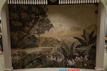 Designer Wallpapers in Bangalore | Modern, 3D & Custom Wall Designs