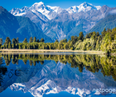 Get a nursing career in New Zealand as a health professional.