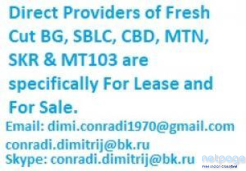 Direct Providers of Fresh Cut BG, SBLC and MTN