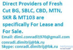 Direct Providers of Fresh Cut BG, SBLC and MTN