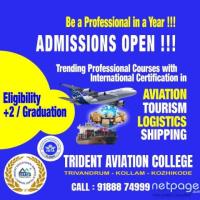 Trident Aviation College