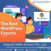 The Best WordPress Experts