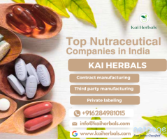 Top nutraceutical companies in India