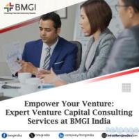 Empower Your Venture: Expert Venture Capital Consulting Services at BMGI India