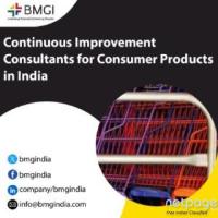 Continuous Improvement Consultants for Consumer Products in India