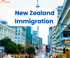 Trusted New Zealand Immigration Services for Work & Study Visas - Wave Visas