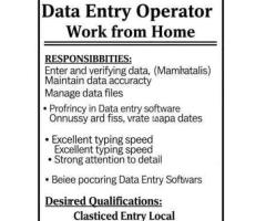Part-Time Data Entry Operator (Work from Home)