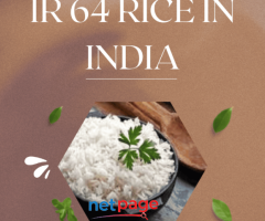 IR 64 Rice in India