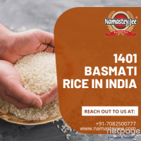 1401 Basmati Rice in India