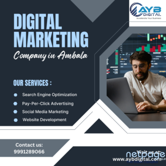 Digital Marketing Company in Ambala
