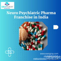 Neuro Psychiatric Pharma Franchise in India