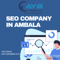 Best SEO Company in Ambala