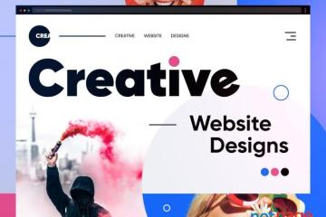 Professional Website Design Services in Delhi