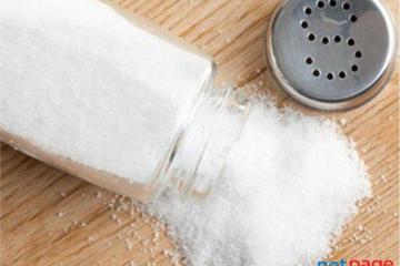 Sugar manufacturers in India