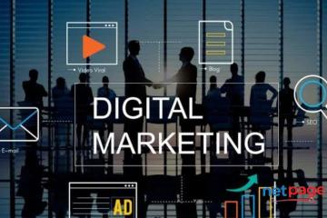 Advanced Digital Marketing Training Institute in Ameerpet