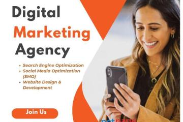 Top-Rated SEO Agency in Delhi for Small & Large Businesses