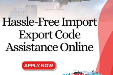 Hassle-Free Import Export Code Assistance Online