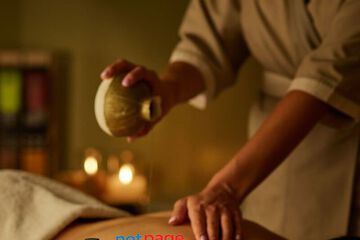 Royal Oak Spa Ambawadi Professional Spa Care 9898965487 - Image 1/4