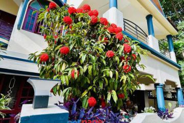 4 BHK House for rent