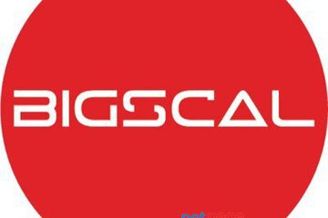 Bigscal The Ultimate Software Development Company