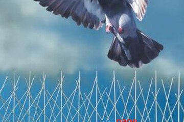 Professional Anti Bird Nets Installation Chennai