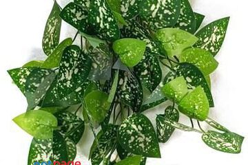 Shweta Enterprise - Artificial Plants & Grass