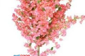 Shweta Enterprise - Artificial Plants & Grass