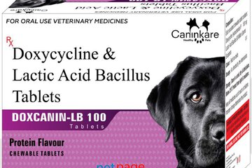 Doxcanin-LB – 100mg For Dog - CaninKare