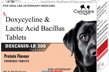 Doxcanin-LB – 300mg For Dog - CaninKare