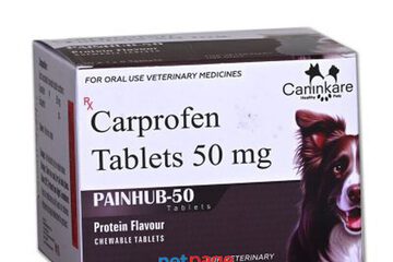 Carprofen Tablets 50 mg | PAINHUB-50 Tablets