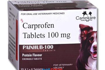 Carprofen Tablets 100 mg | PAINHUB-100 Tablets - CaninKare